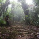 dominica-nature-island-34