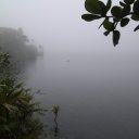 dominica-nature-island-36