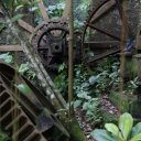 dominica-nature-island-4