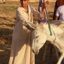 Egyptian farmer near where our hot air balloon landed