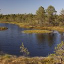 lahema-national-park-ponds