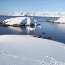 Ice climbing in a stunning location, Foyn Harbour Antarctica