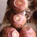 taro-root