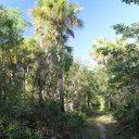 everglades-florida-1