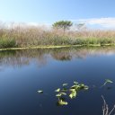 everglades-florida-2