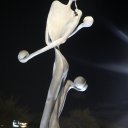 florida-bradenton-tampa-bay-sarasota-12