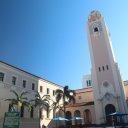 florida-bradenton-tampa-bay-sarasota-23