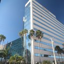 florida-bradenton-tampa-bay-sarasota-25