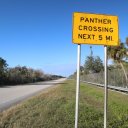 florida-bradenton-tampa-bay-sarasota-3