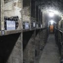 Burgundy-Champagne-France-9