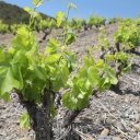 France-Europe-10