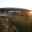 France-Le-Dome-Bordeaux-4