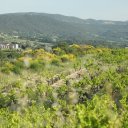 France-Wine-Travel-10