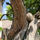 lyon-france-villages-18