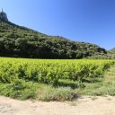 viking-river-cruise-provence-22