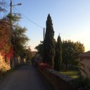 early-morning-colours