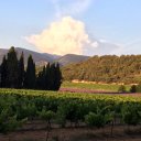 the-colours-of-the-drome