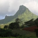 moorea-french-polynesia-tahiti-16