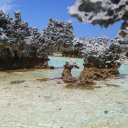 tuamotos-rangiroa-15