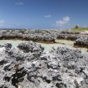 tuamotos-rangiroa-17