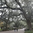 savannah-georgia-1