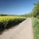 Germany-Countryside-11