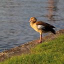 frankfurt-germany-10