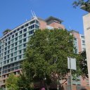 frankfurt-germany-4_1