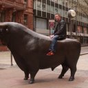 Riding the bull - Frankfurt