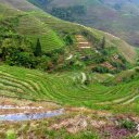 Longji Rice terraces, Guilin