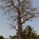 guinea-bissau-varela-8