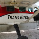 kaieteur-falls-rainforest-guyana-15