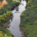 kaieteur-falls-rainforest-guyana-28