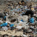 cap-haitien-market-caracaol-6