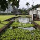 One of the many parks in Hilo, (big island)