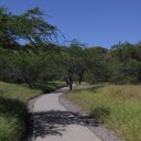 Bucolic path leading to top of Diamond Head