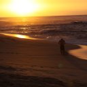 Sunset, Oahu north island - Surfer leaving the water