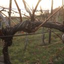 Budapest-Lake-Balaton-Hungary-10