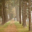 Budapest-Lake-Balaton-Hungary-20