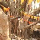 India-Nashik-Mumbai-46