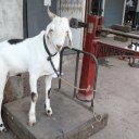 India-Nashik-Mumbai-49