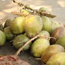 India-Nashik-Mumbai-54