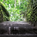 Monkey-Temple-Bali-steps-leading-up-to-monkeys