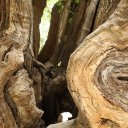 Iraq-Erbil-Lalish-Akre-Kurdistan-36