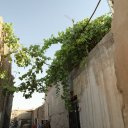 Iraq-Erbil-Lalish-Akre-Kurdistan-8
