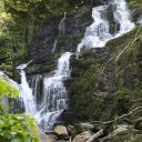 ireland-cork-muckross-house-10