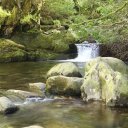 ireland-cork-muckross-house-11
