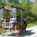 ireland-cork-muckross-house-7
