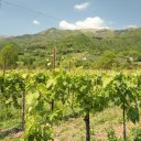Italy-Cities-Countryside-1