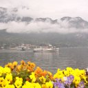 Flowers, Lago di Como